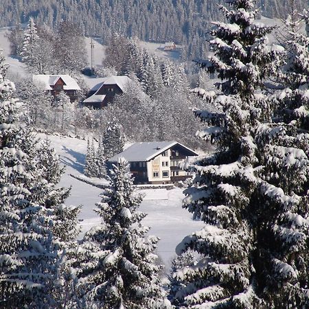 Cozy Apartment In Afritz Am See Near Gerlitzen Ski Area 외부 사진